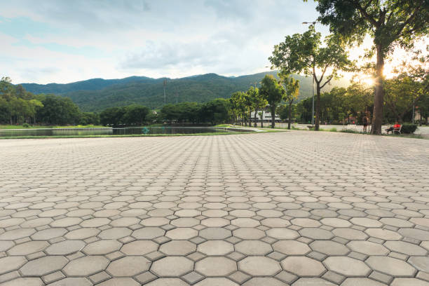 Best Driveway Paving Contractor  in Nashville, AR