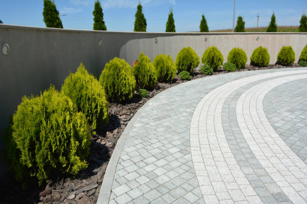 Best Custom Driveway Pavers  in Nashville, AR